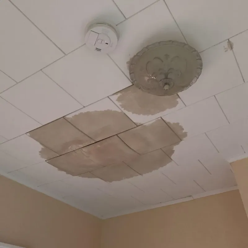 Ceiling Water Damage Repair in Plum, PA