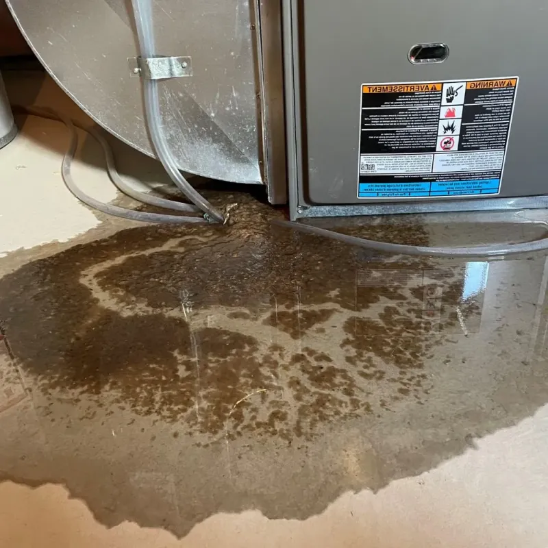 Pipe Burst and Leak Restoration in Plum, PA