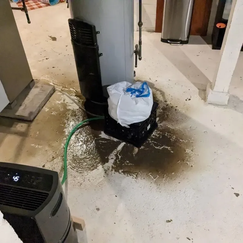 Sewage Backup Cleanup Service in Plum, PA